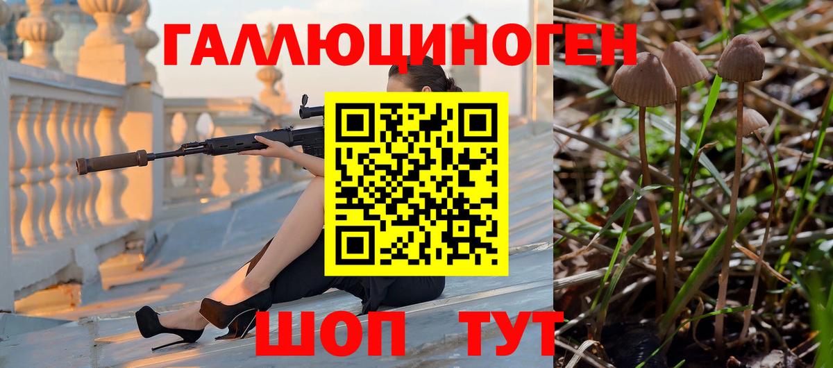 Ленинск-Кузнецкий  Псилоцибиновые грибы Magic Shrooms  Вход с VPN  Галлюциногенные грибы Psilocybine cubensis 